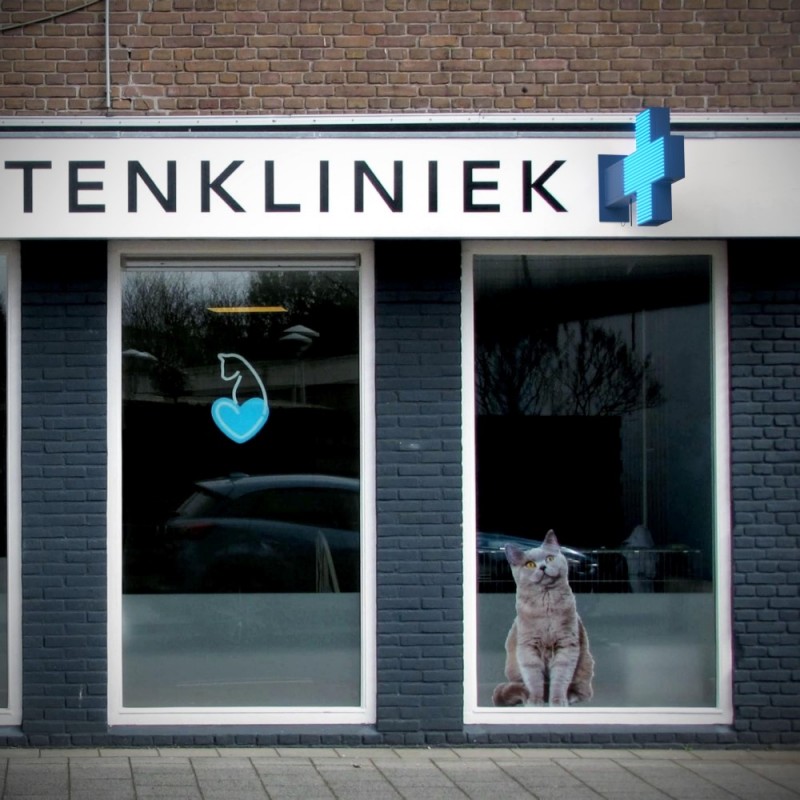Blue monocolor Veterinary LED cross - 50x50cm - Double sided - Outdoor