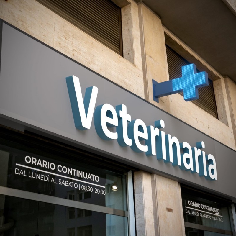 Blue monocolor Veterinary LED cross - 50x50cm - Double sided - Outdoor