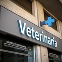 Blue monocolor Veterinary LED cross - 50x50cm - Double sided - Outdoor