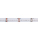 24V DC COB LED Strip - RGB + CCT - 19W/m - 12mm - IP20 - 5 meters roll