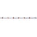 24V DC COB LED Strip - RGB/RGBWW - 19W/m - 12mm - IP20 - 5 meters roll - Cut every 33mm