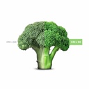 LED 3-phase track spotlight - 40W - Greengrocers - Philips Xitanium Driver