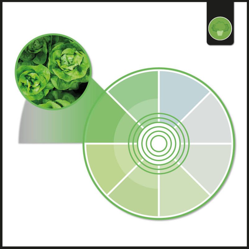 LED 3-phase track spotlight - 40W - Greengrocers - Philips Xitanium Driver