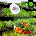 LED 3-phase track spotlight - 40W - Greengrocers - Philips Xitanium Driver