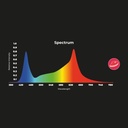 LED 1-phase track spotlight - 40W - Butcheries