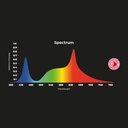 LED 1-phase track spotlight - 40W - Butcheries