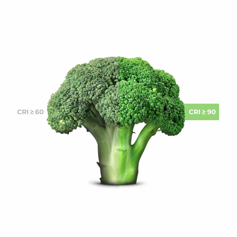 LED 3-phase track spotlight - 40W - Greengrocers - Philips Xitanium Driver