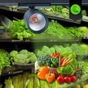 LED 3-phase track spotlight - 40W - Greengrocers - Philips Xitanium Driver