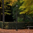 87830_77d09b96-8e11-4400-b25e-99f47ba14e1e