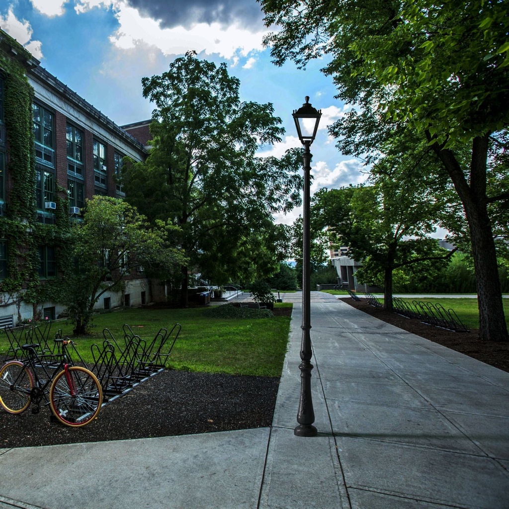 87831_7363d055-7616-4319-a99e-12afc6c1ea1b