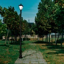 87847_0ce01892-38c0-4b76-a0dc-d54f2a8e3d44