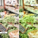 LED 3-phase track spotlight - 40W - Greengrocers - Philips Xitanium Driver