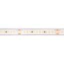 Submersible LED strip 48V DC - Monochrome - 9.6W/m - 12mm - IP68 - 20 metres - 168ch/m