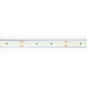 Submersible LED strip 48V DC - Monochrome - 9.6W/m - 12mm - IP68 - 20 metres - 168ch/m