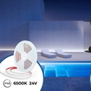 Submersible LED strip 48V DC - Monochrome - 9.6W/m - 12mm - IP68 - 20 metres - 168ch/m