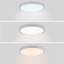 Round CCT LED Ceiling light - 18W - IP40