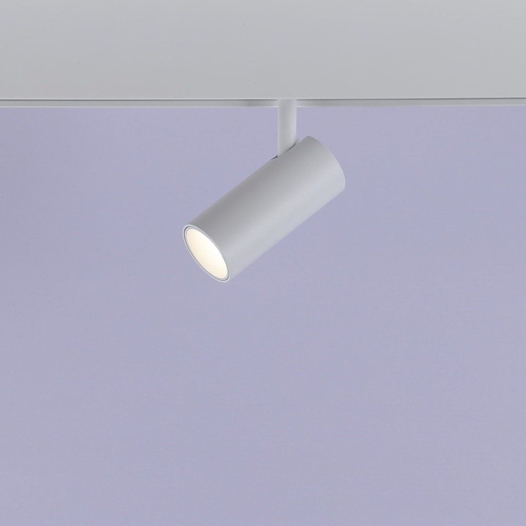 49210_8f53285f-0cbb-466d-8f24-fc719ce95280