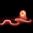 Tira LED COB 24V DC - RGB - 12W/m - 10mm - IP20 - Rollo de 10 metros -